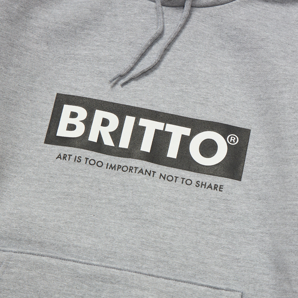 APPLE Gray PARKA