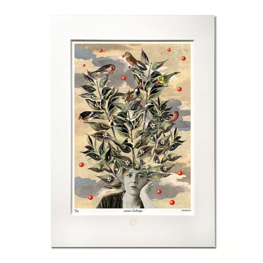 A3_No.002「Ruscus aculeatus and 6 birds」ナギイカダと6羽の小鳥