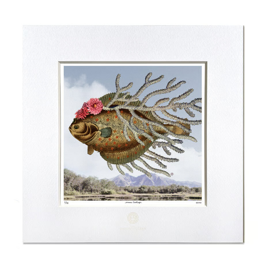 No.0030 「Swimming sky」空を泳ぐわ