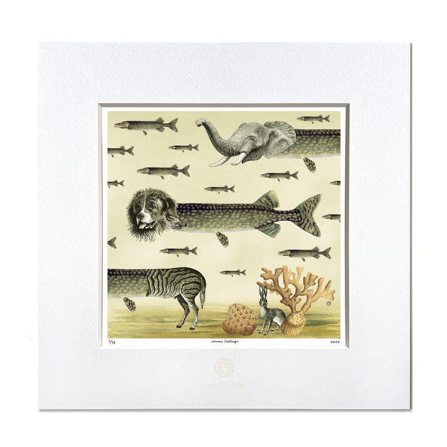 No.0042 「Sea creatures」海洋生物