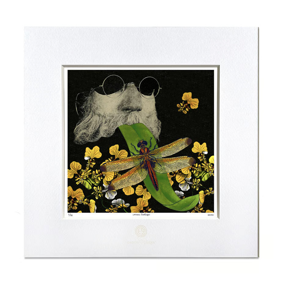 No.0043 「Like a Rolling Stone」ローリング・ストーンズのように