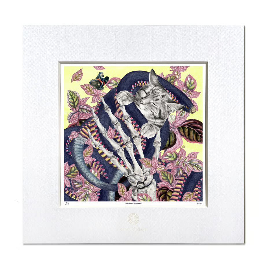 No.0062「Sweet dreams 」いい夢見てね