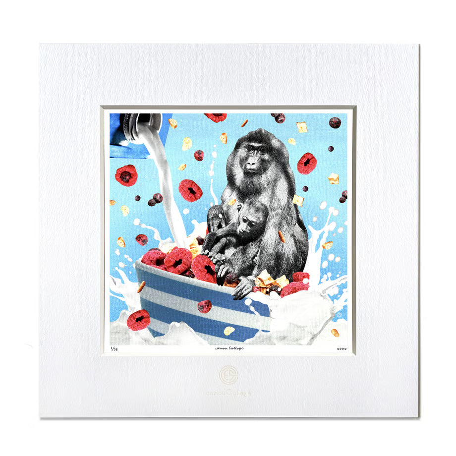 No.0072「Fruit granola」フルーツグラノーラ