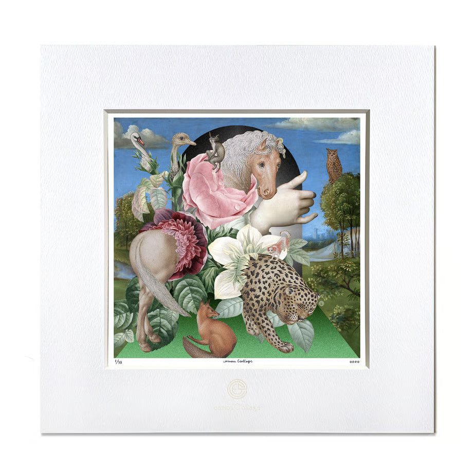 No.0080「 Genesis」創世