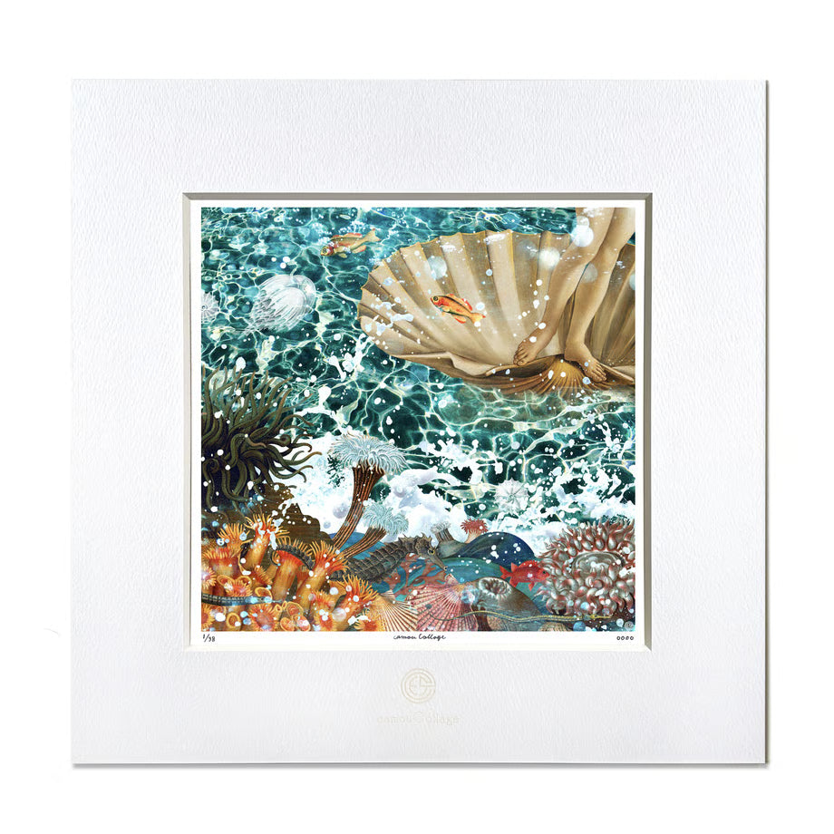 No.0082「 Under the venus」ヴィーナスの下部