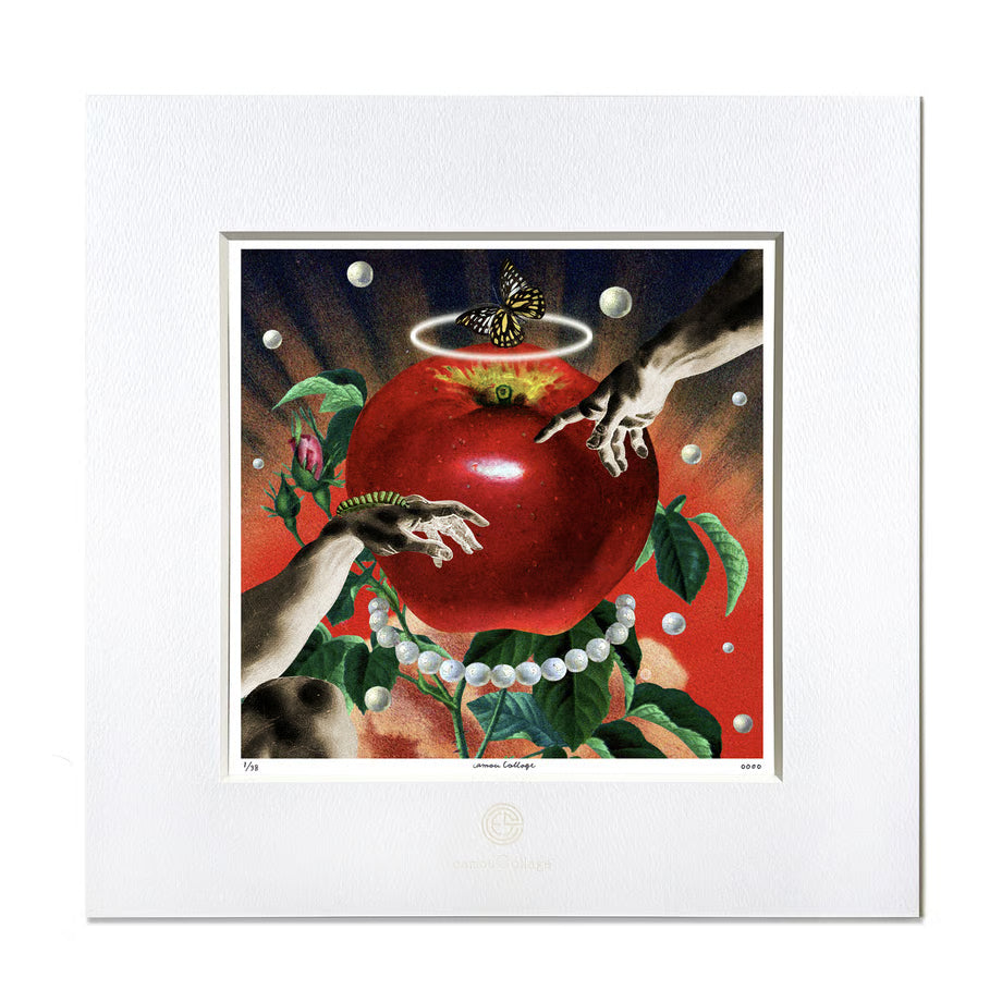 No.0083「 Genesis of apple」創生りんご