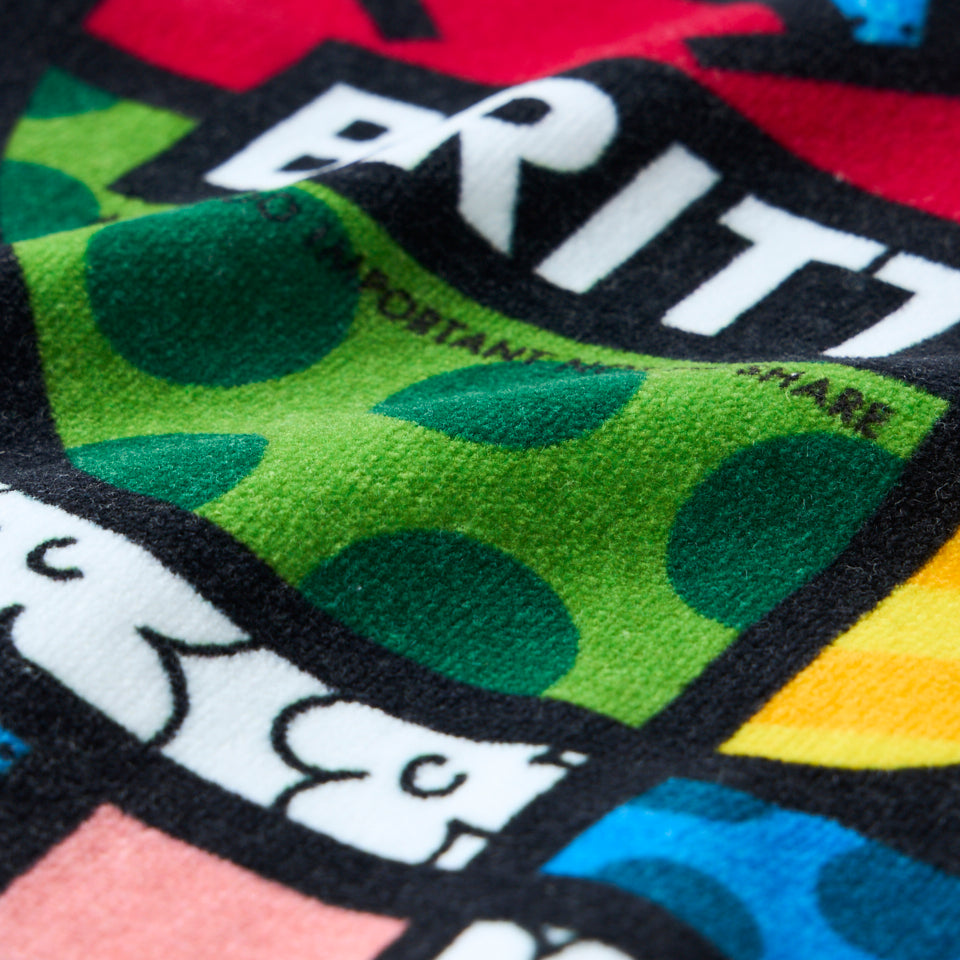 APPLE handkerchief