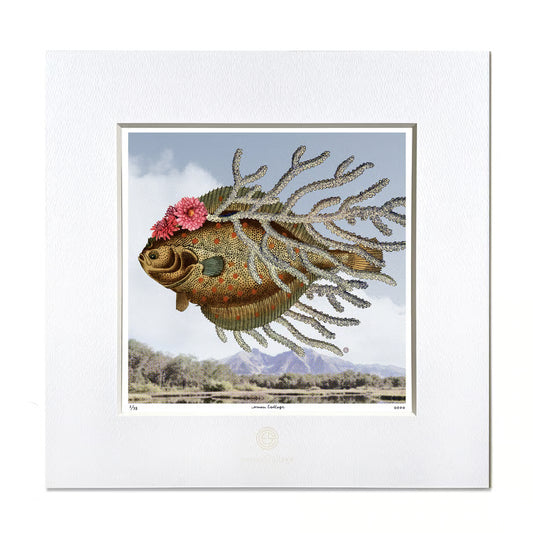 No.0030 「Swimming sky」空を泳ぐわ