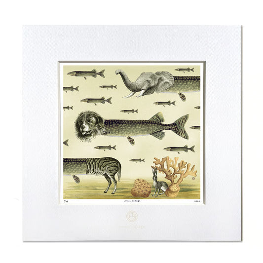 No.0042 「Sea creatures」海洋生物