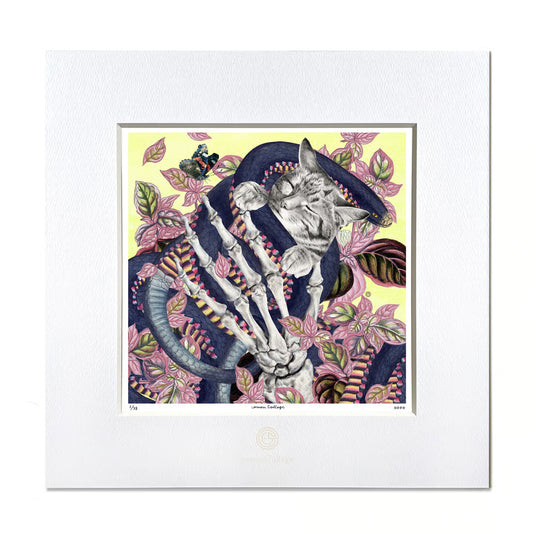 No.0062「Sweet dreams 」いい夢見てね