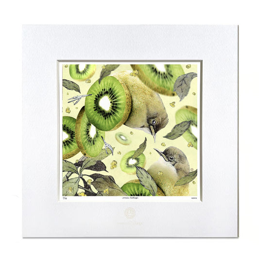 No.0067「Kiwi bird」キウイ鳥