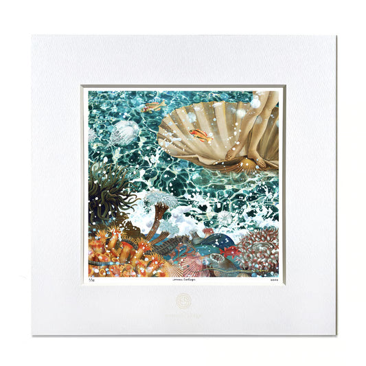 No.0082「 Under the venus」ヴィーナスの下部