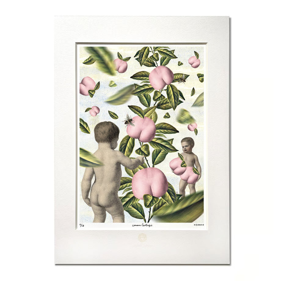 A3_No.003「Butt fruit」お尻の実